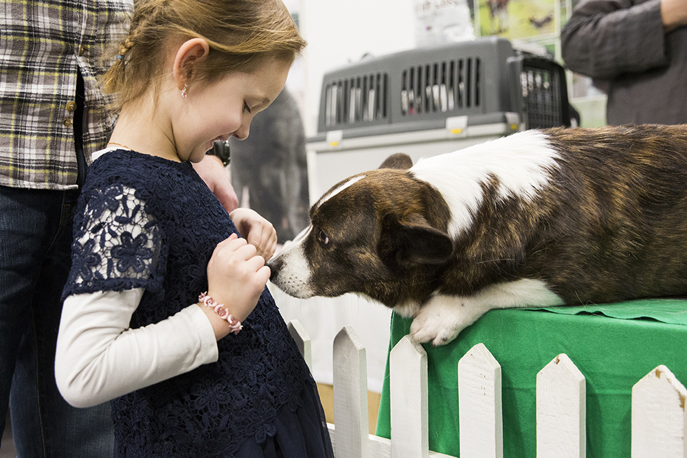 Rasklubbstorget på MyDOG