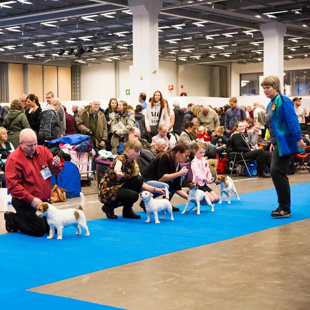 MyDOG hundutställning 2017