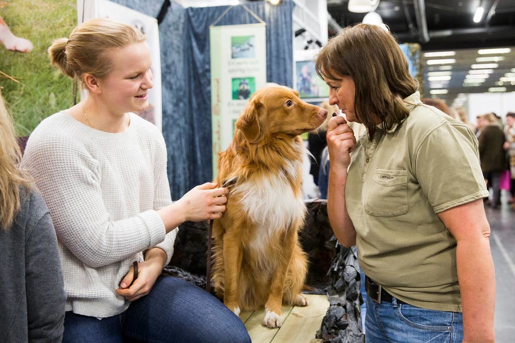 rasklubbstorget mydog