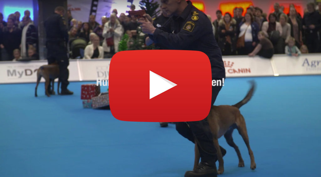 Film från MyDOG 20170107