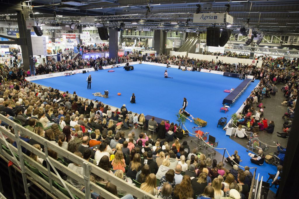 MyDOG hundutställning 2017