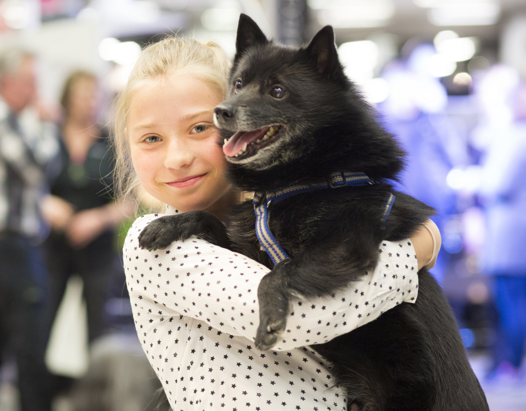 Vett och etikett vid hundköp