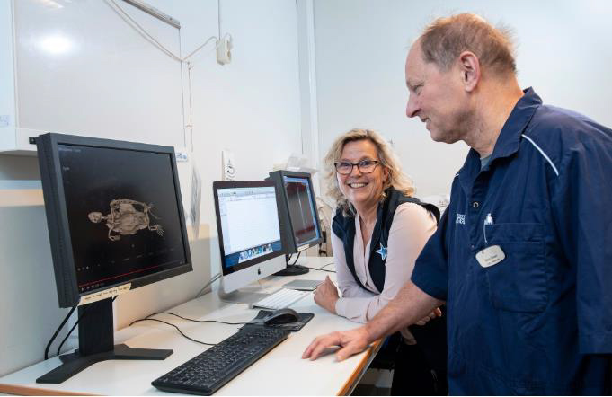 Interaktiv 3D-visualisering av djurens inre - nytt samarbete skapar unikt utbildningsmaterial om djurs anatomi