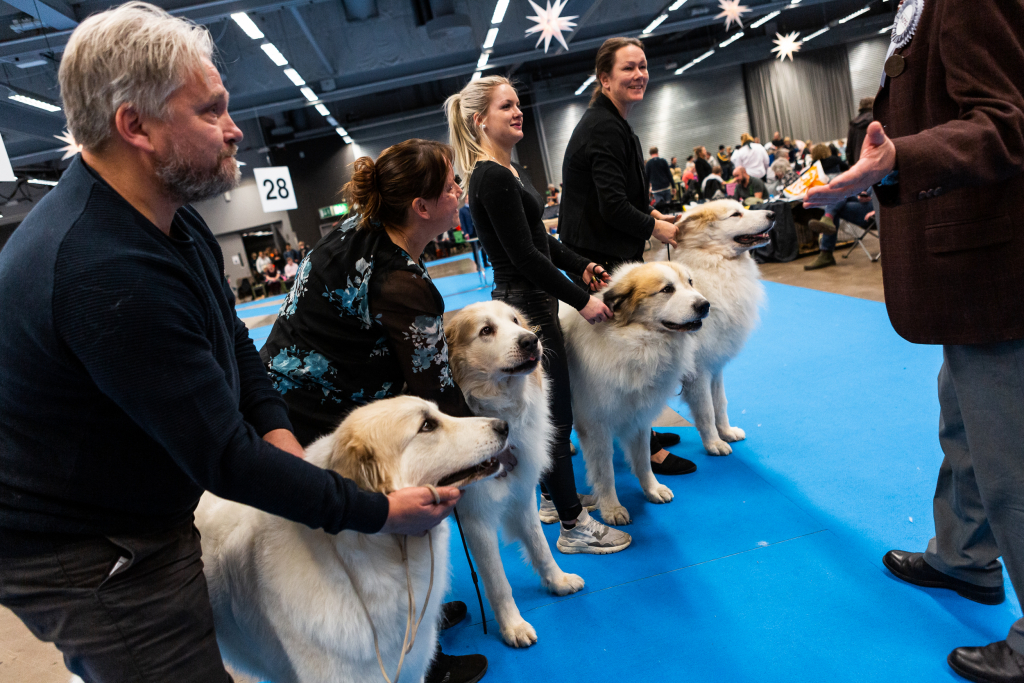 MyDOG 2020 hundmässa