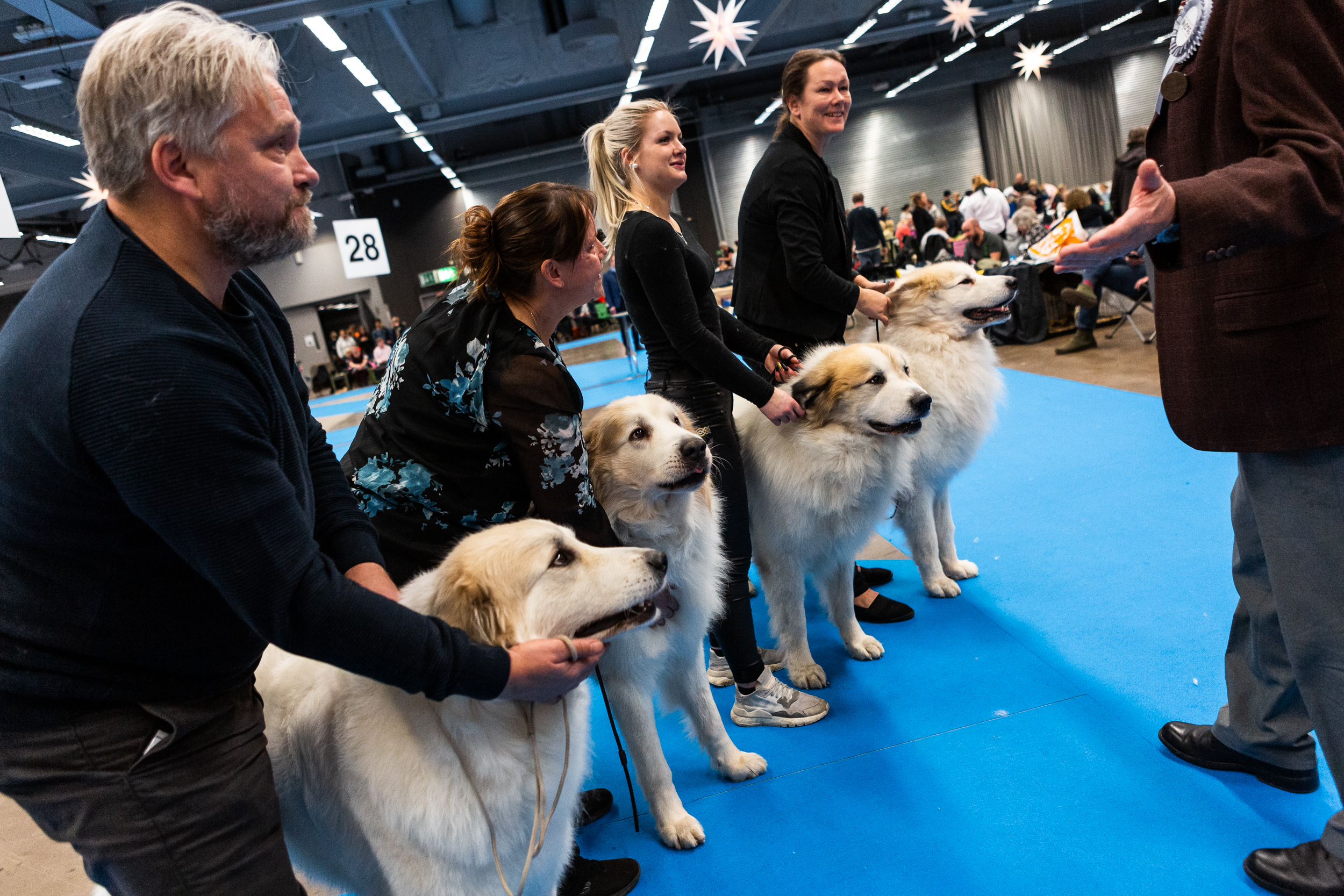 MyDOG 2020 hundmässa