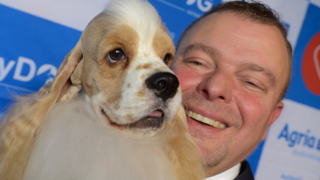 Årets utställningshund