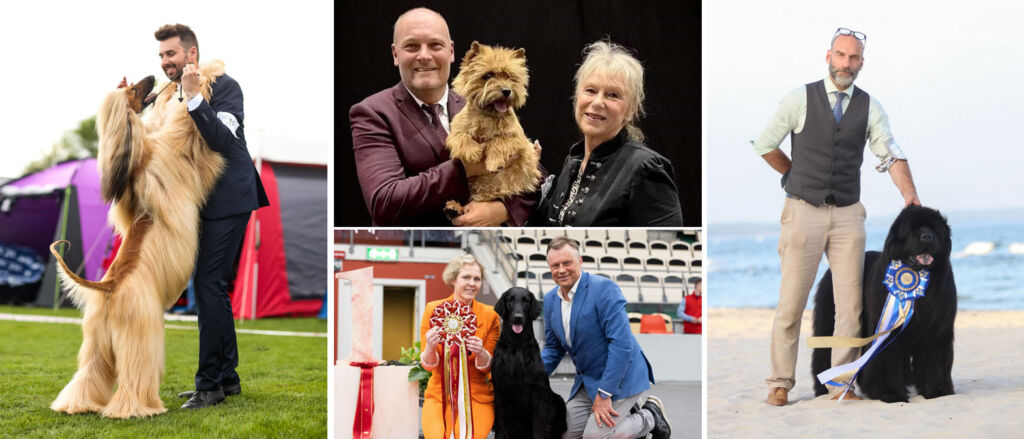 Årets Utställningshund 2024