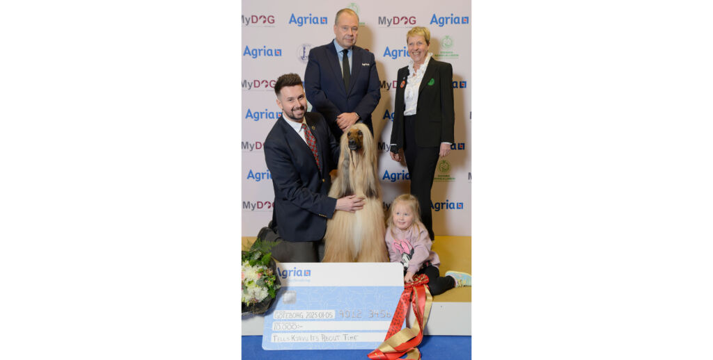 Årets Utställningshund