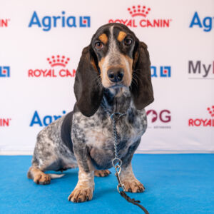 gbgs charmigaste fredag 3 jan (34 av 76)