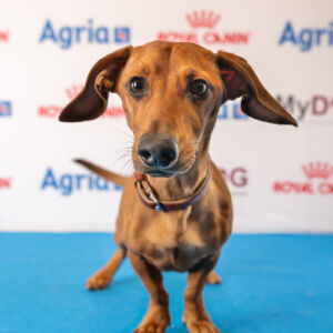 gbgs charmigaste fredag 3 jan (55 av 76)